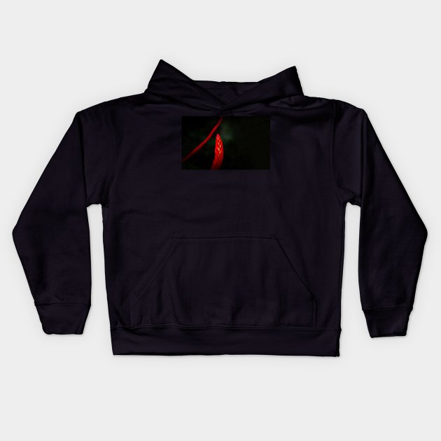 The Flaming Sword Kids Hoodie by Memories4you